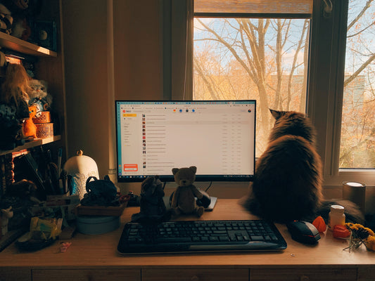 Balancing Work and Love: A Comprehensive Guide to Working from Home with a Needy Cat